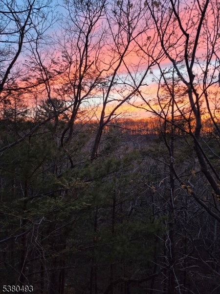 0 Rock Ledge Road West Milford, NJ 07480 - Photo 14 of 17 a view of trees in a yard