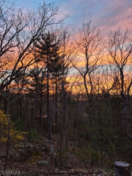 0 Rock Ledge Road West Milford, NJ 07480 - Photo 16 of 17 a backyard of a house with lots of green space