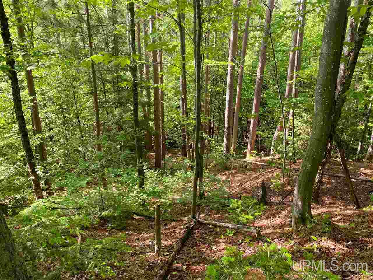 Tbd M-64 Ontonagon, MI 49953 - Photo 7 of 22