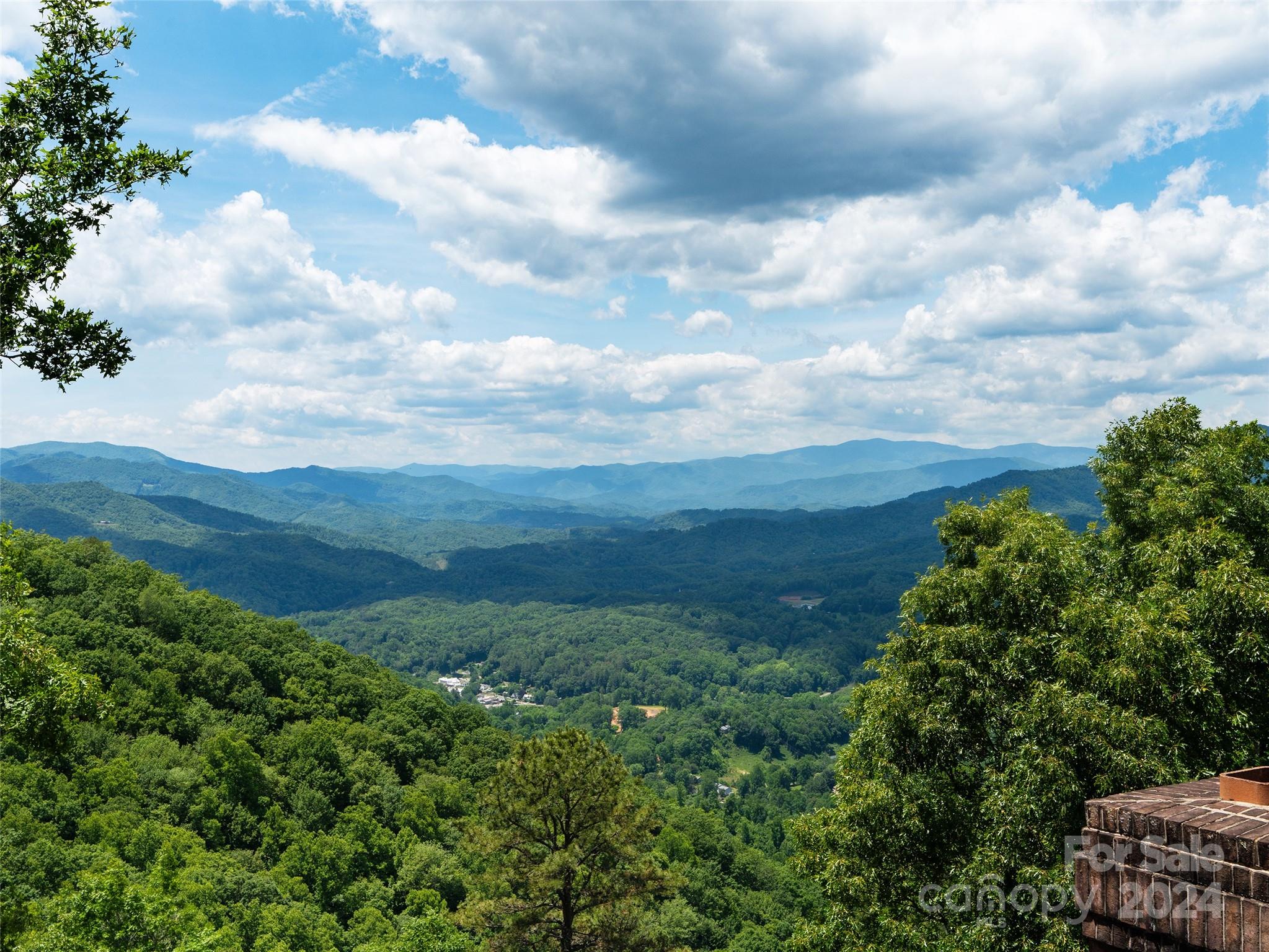 1767 Ridgeway Street Sylva, NC 28779 - Photo 27 of 46 a view of a green field with lots of bushes