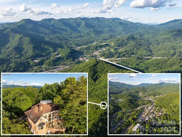 a view of a lush green hillside and a houses