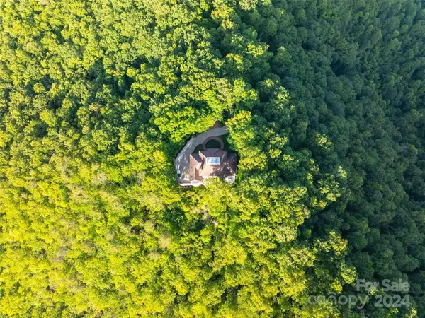 a view of an ocean and a mountain