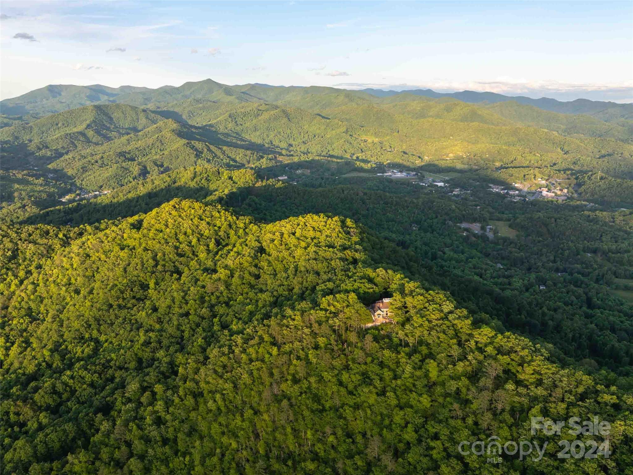 1767 Ridgeway Street Sylva, NC 28779 - Photo 45 of 46 a view of an ocean and a mountain