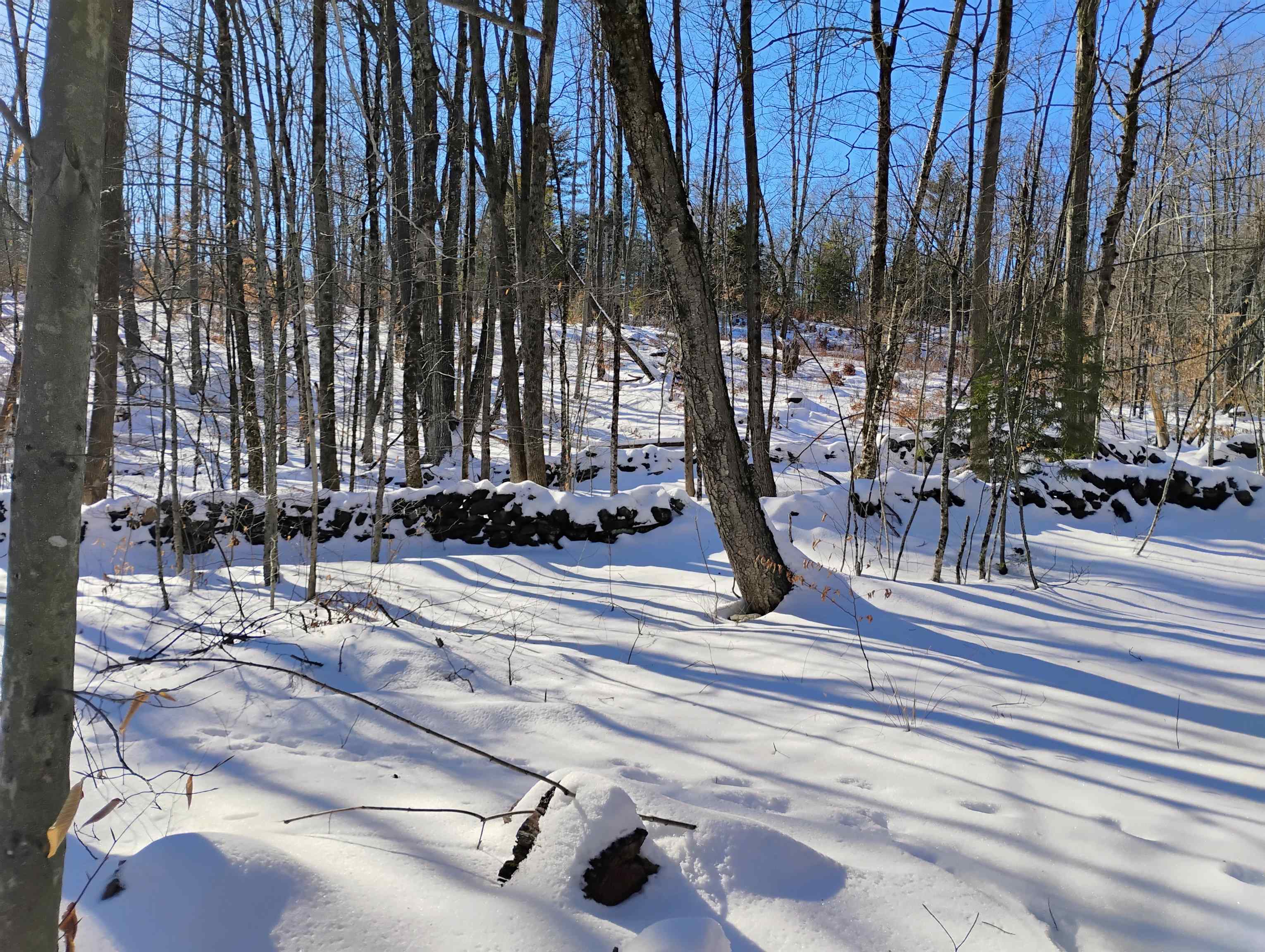 317 Putney Mountain Road Putney, VT 05346 - Photo 8 of 23