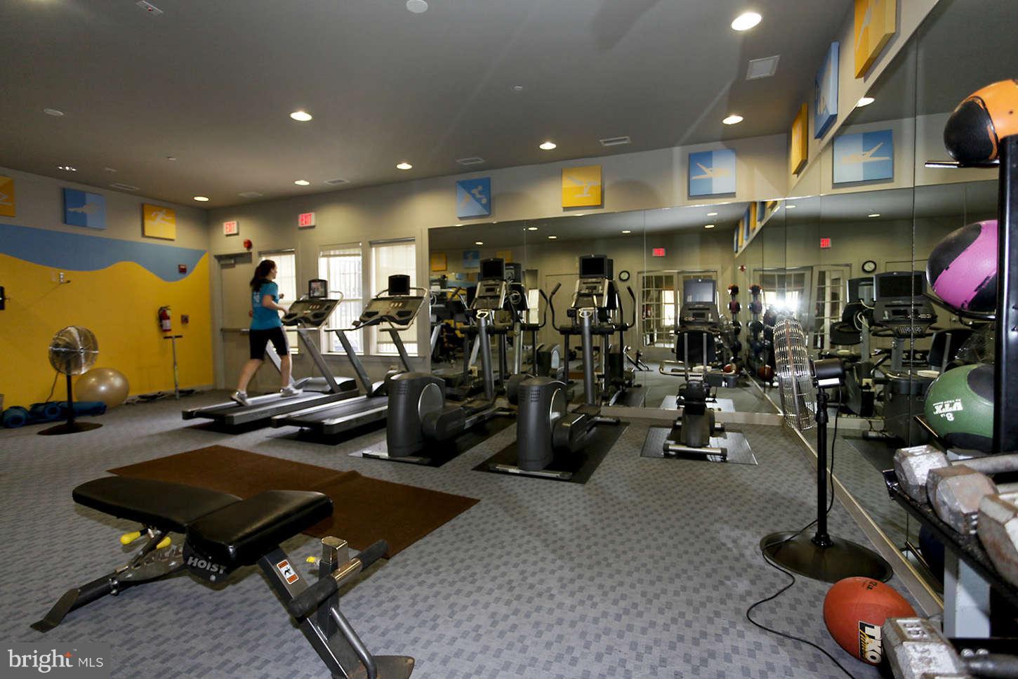 11655 Gas Light Court, Unit 11655D Reston, VA 20190 - Photo 21 of 30 Community