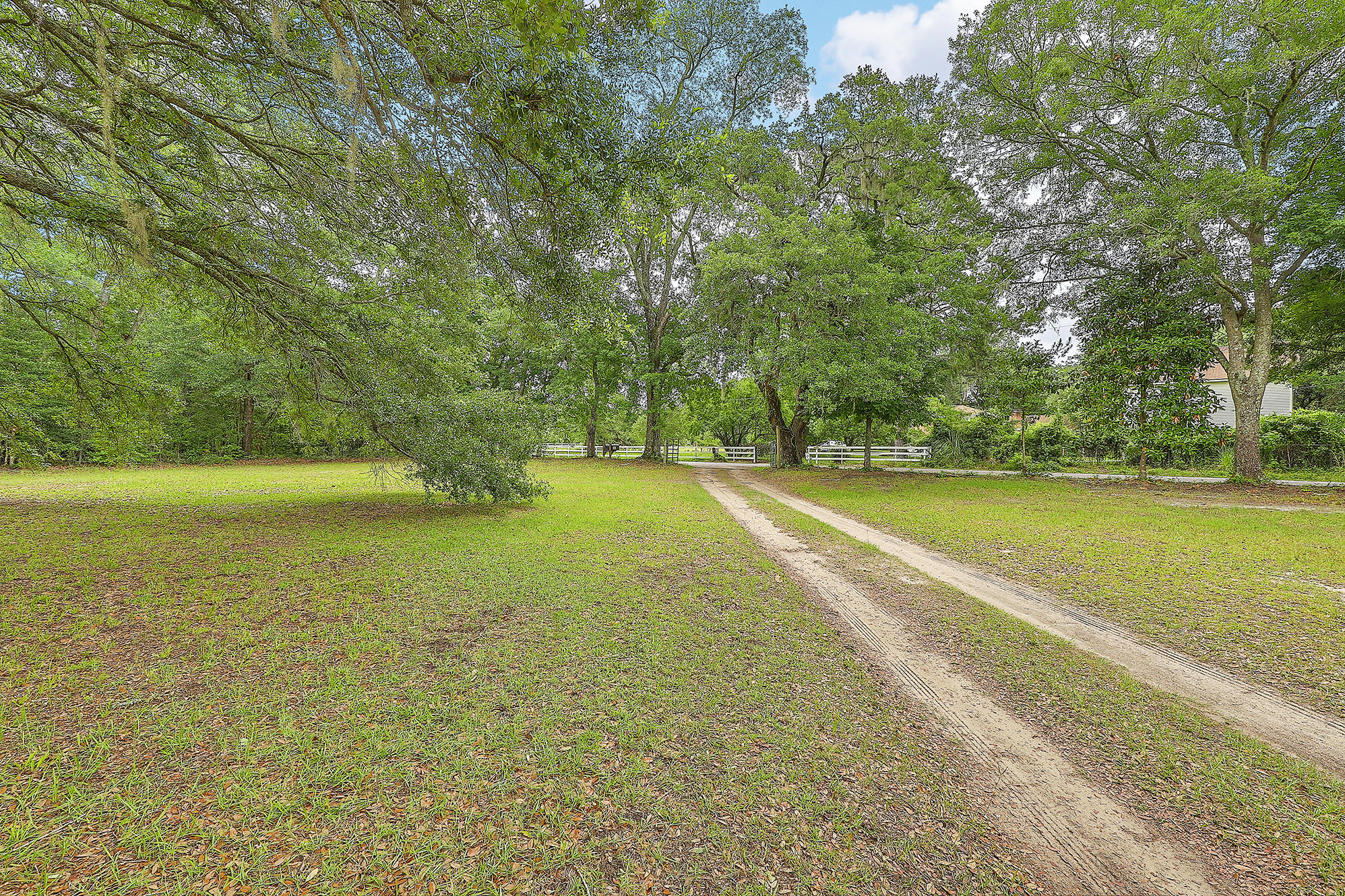 7020 Old Jacksonboro Road Ravenel, SC 29470 - Photo 40 of 41 IMG_9973_4_5_6_7_8_9