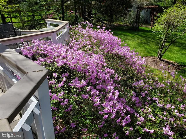 $5,500 | 1 Orchard Way South, Potomac, MD 20854