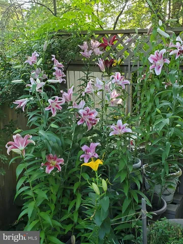 $5,500 | 1 Orchard Way South, Potomac, MD 20854