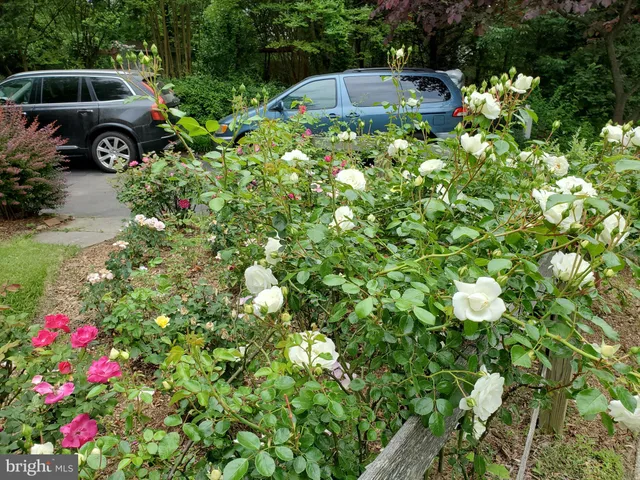 $5,500 | 1 Orchard Way South, Potomac, MD 20854