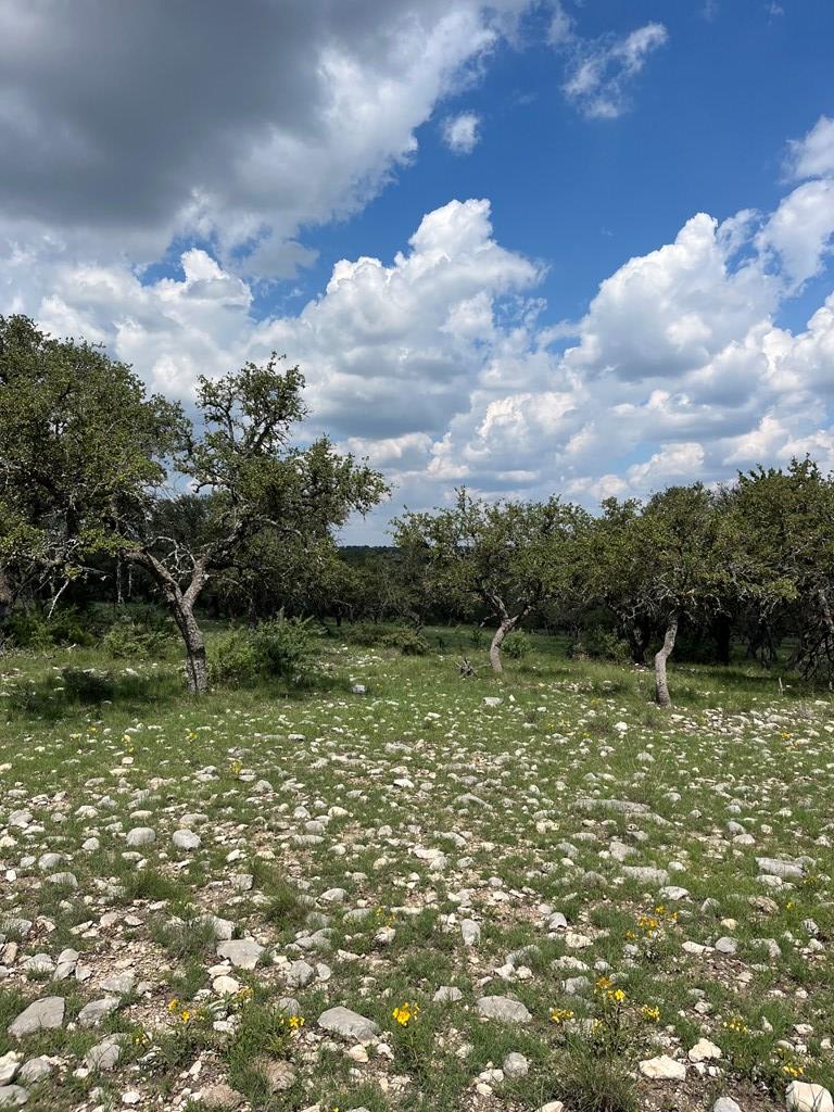 24 Fm 1674 Junction Junction, TX 76849 - Photo 4 of 28 Gallery Image 4
