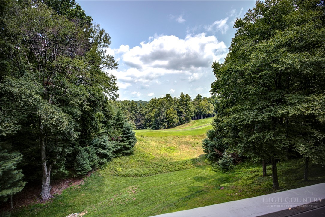 190 Meadow View Road Glade Valley, NC 28627 - Photo 4 of 49 Gallery Image 4