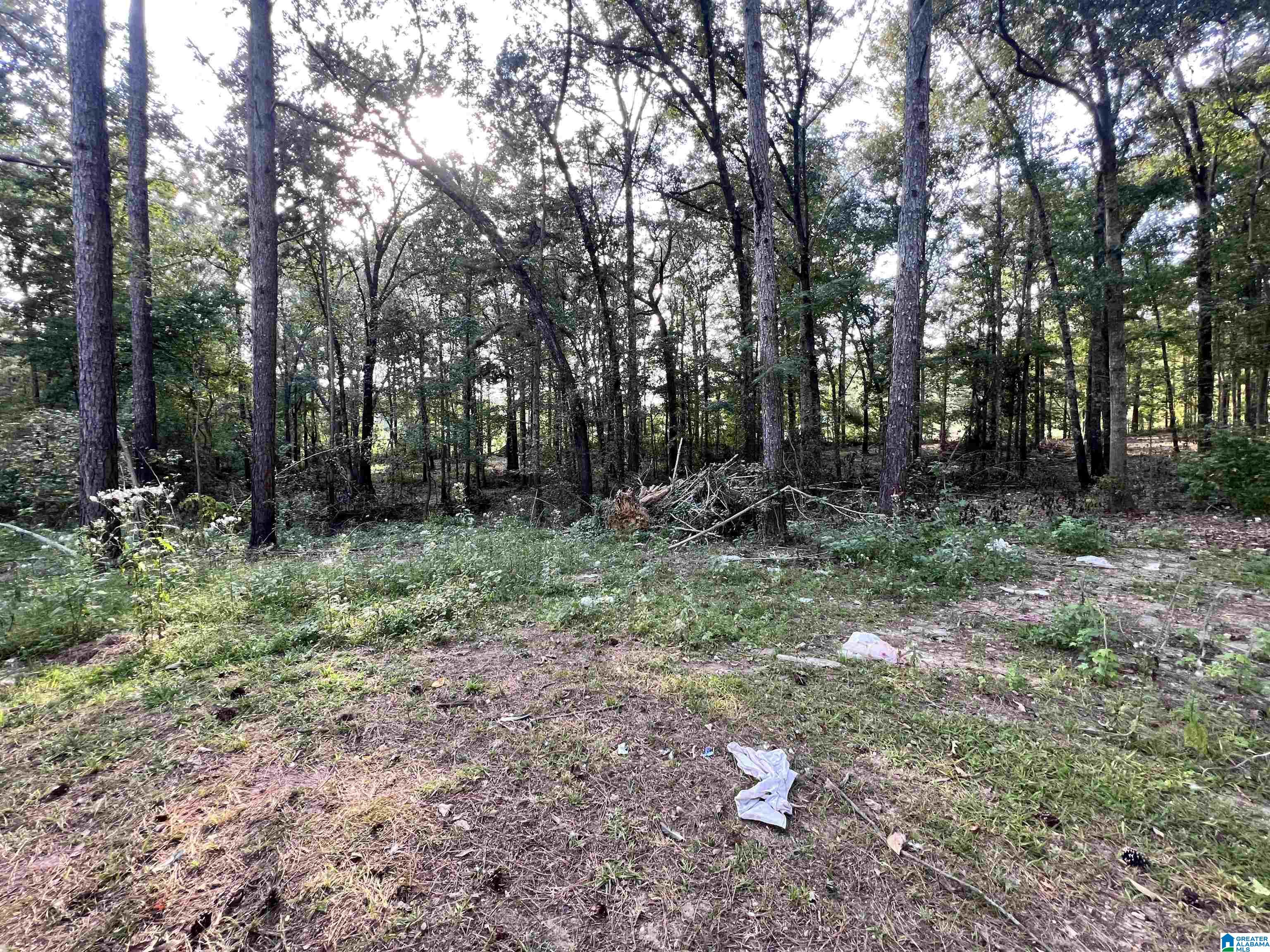 4941 Pleasant Valley Road Ashville, AL 35953 - Photo 6 of 15