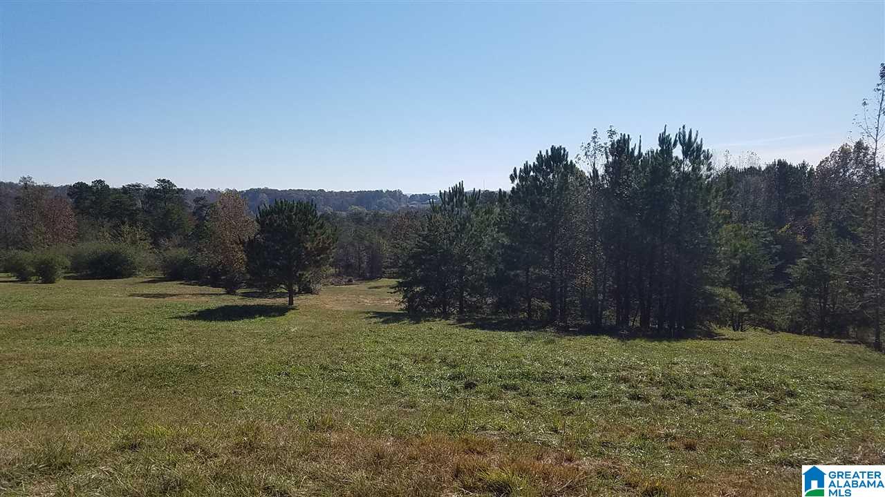 298 Bowerman Road Blountsville, AL 35031 - Photo 22 of 30