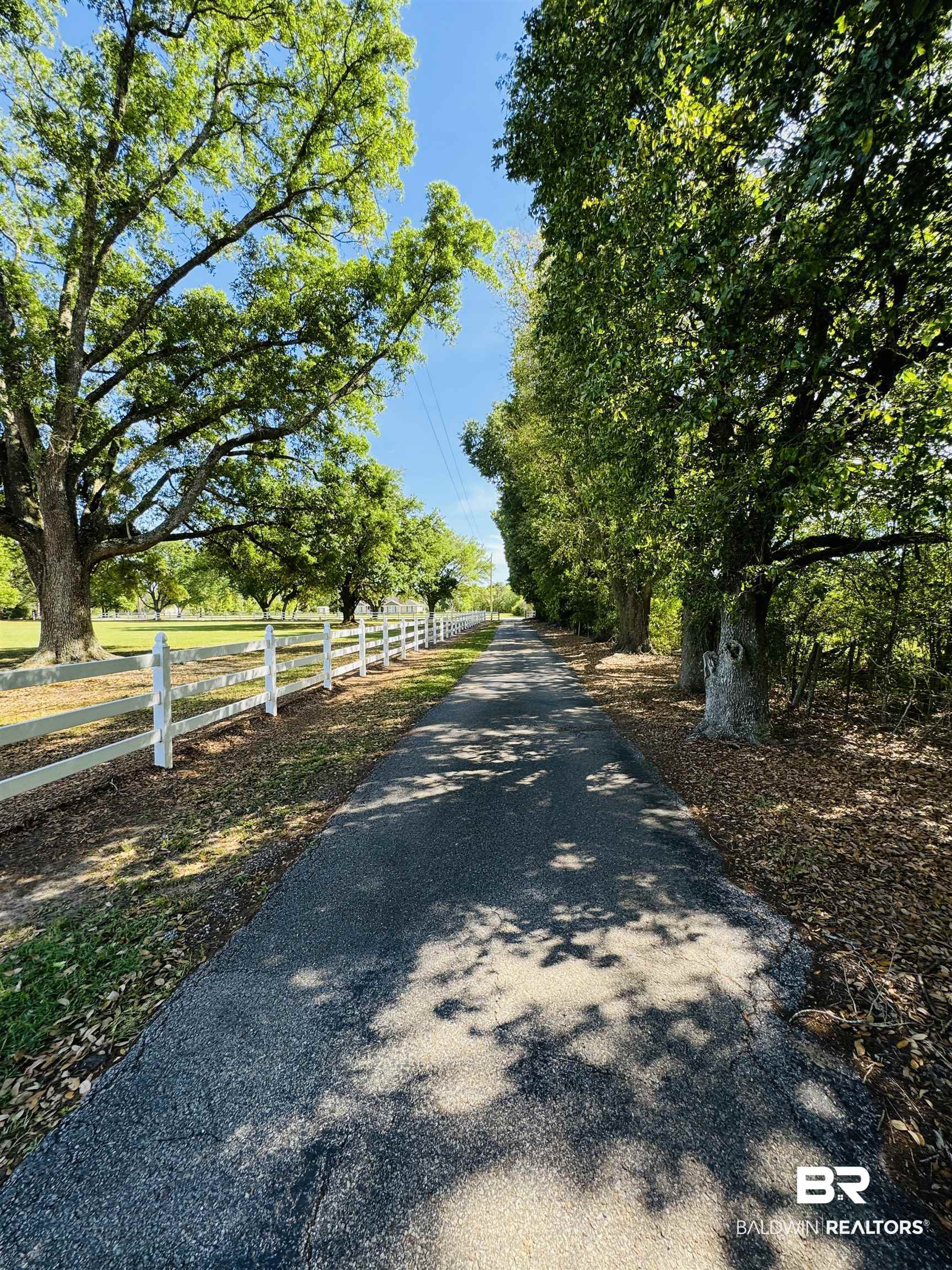 13795 White Road Silverhill, AL 36576 - Photo 5 of 99 View of road
