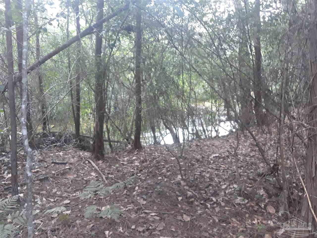 4 Copeland Road, Unit 40 586 ACRES Milton, FL 32570 - Photo 3 of 10 Gallery Image 3