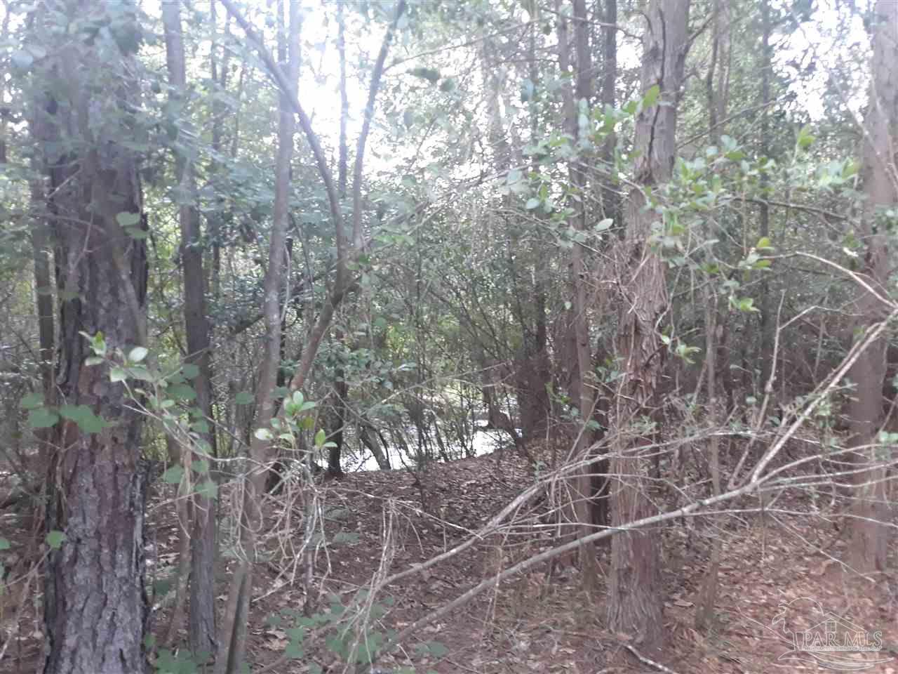 4 Copeland Road, Unit 40 586 ACRES Milton, FL 32570 - Photo 4 of 10 Gallery Image 4