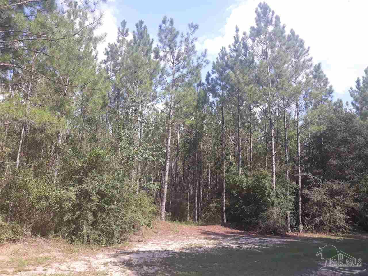 4 Copeland Road, Unit 40 586 ACRES Milton, FL 32570 - Photo 6 of 10 Gallery Image 6