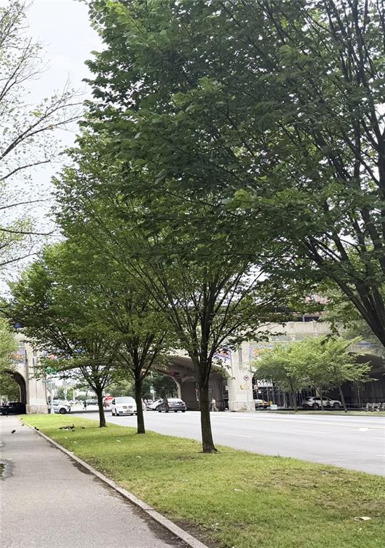 3039 Ocean Parkway, Unit B6 Brooklyn, NY 11235 - Photo 2 of 12