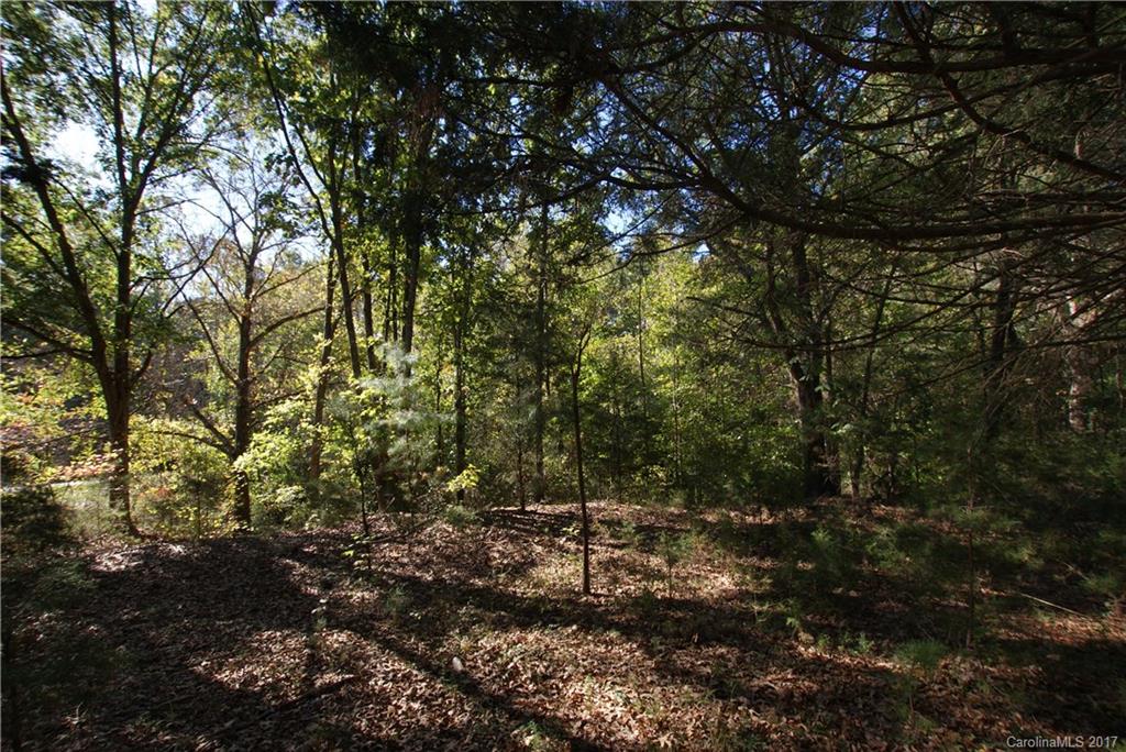 2625 Pleasant Road Fort Mill, SC 29708 - Photo 12 of 12 a view of forest