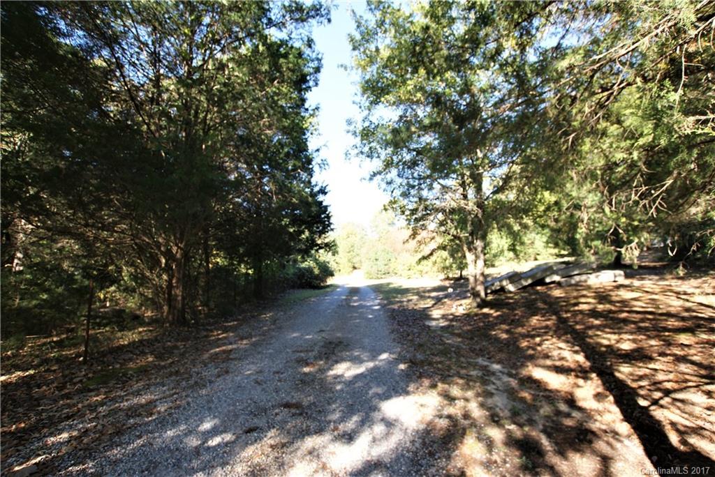 2625 Pleasant Road Fort Mill, SC 29708 - Photo 5 of 12 a view of a forest with trees