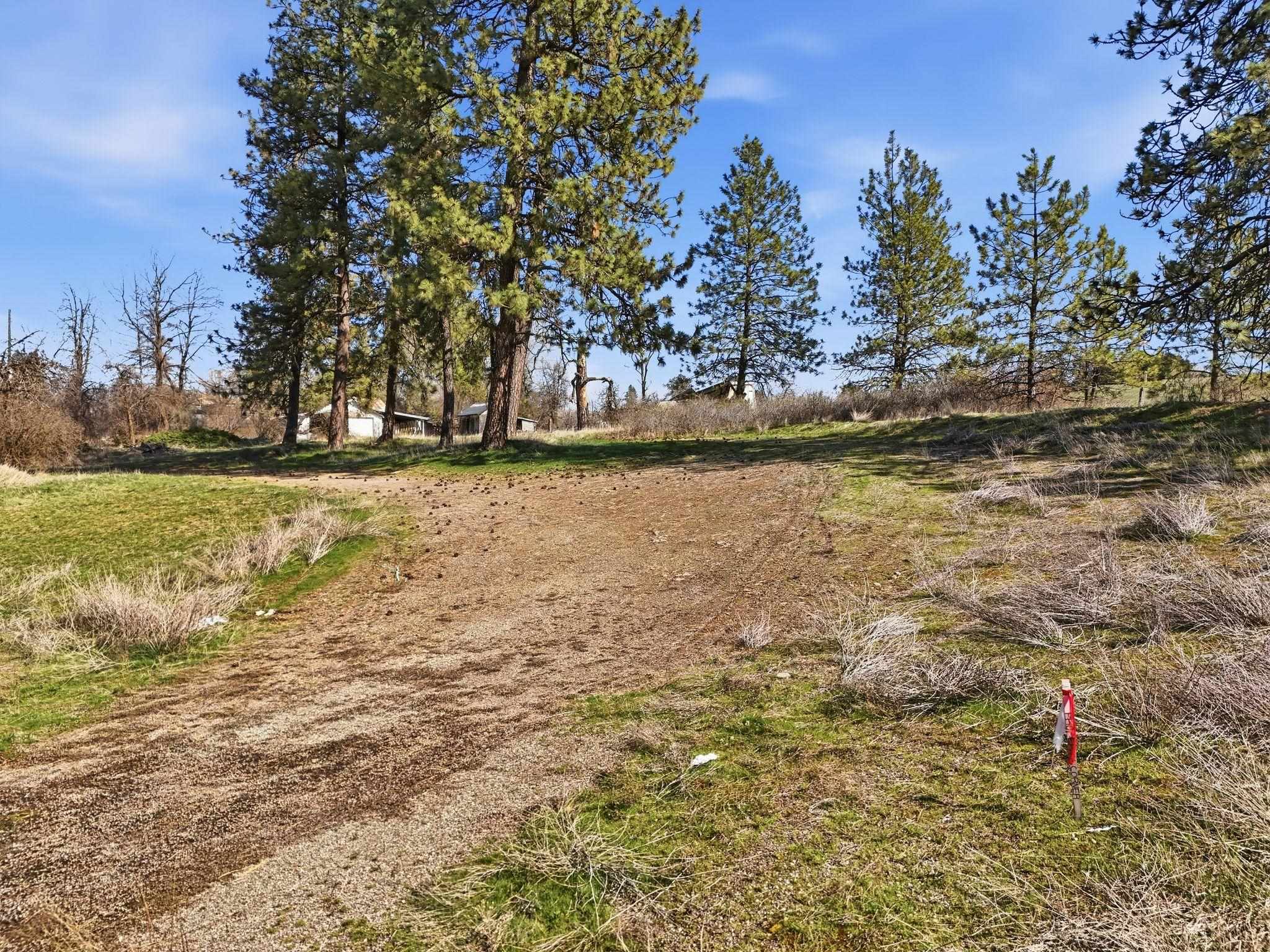 11819 Highway 904 Cheney, WA 99004 - Photo 5 of 14