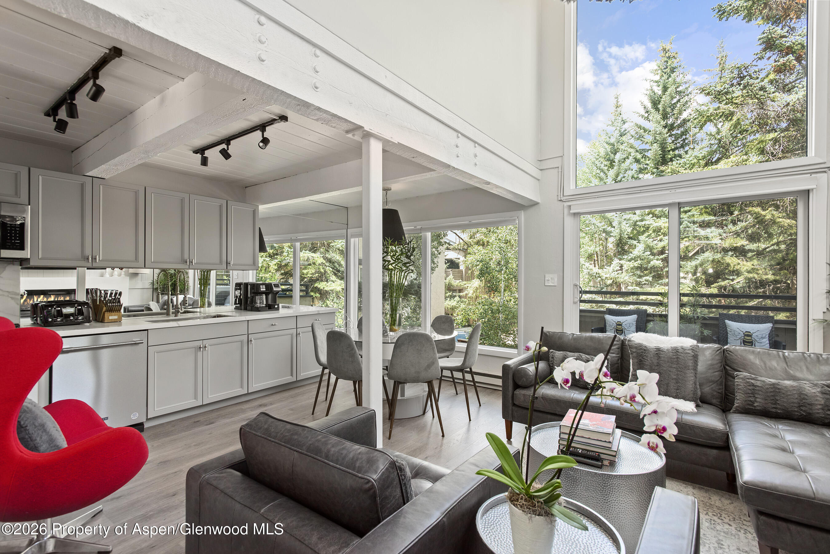 1024 East Cooper Avenue, Unit 2 Aspen, CO 81611 - Photo 6 of 25 Living/Dining 1