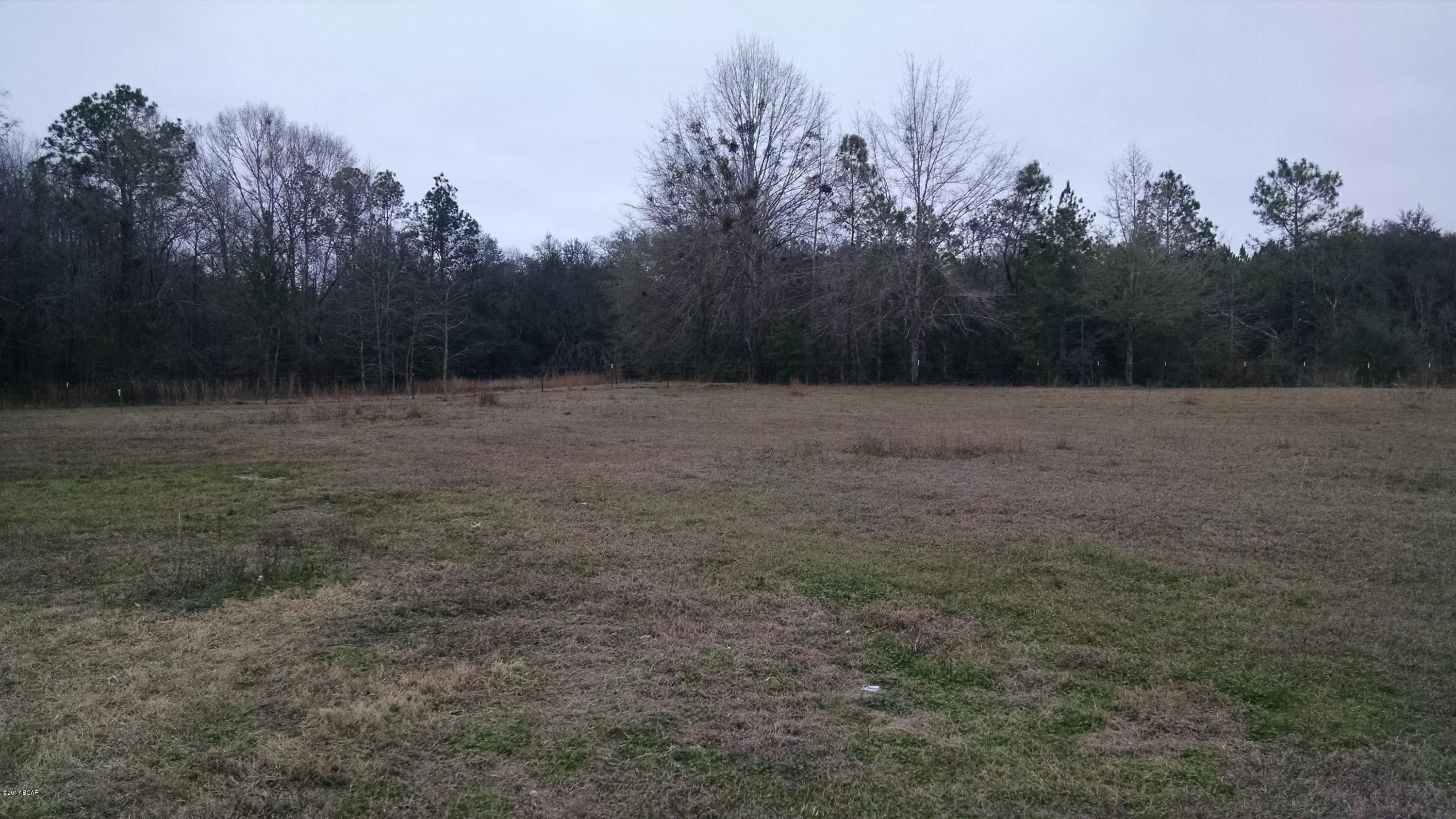 1800 Flowing Well Road Bonifay, FL 32425 - Photo 3 of 7 Gallery Image 3