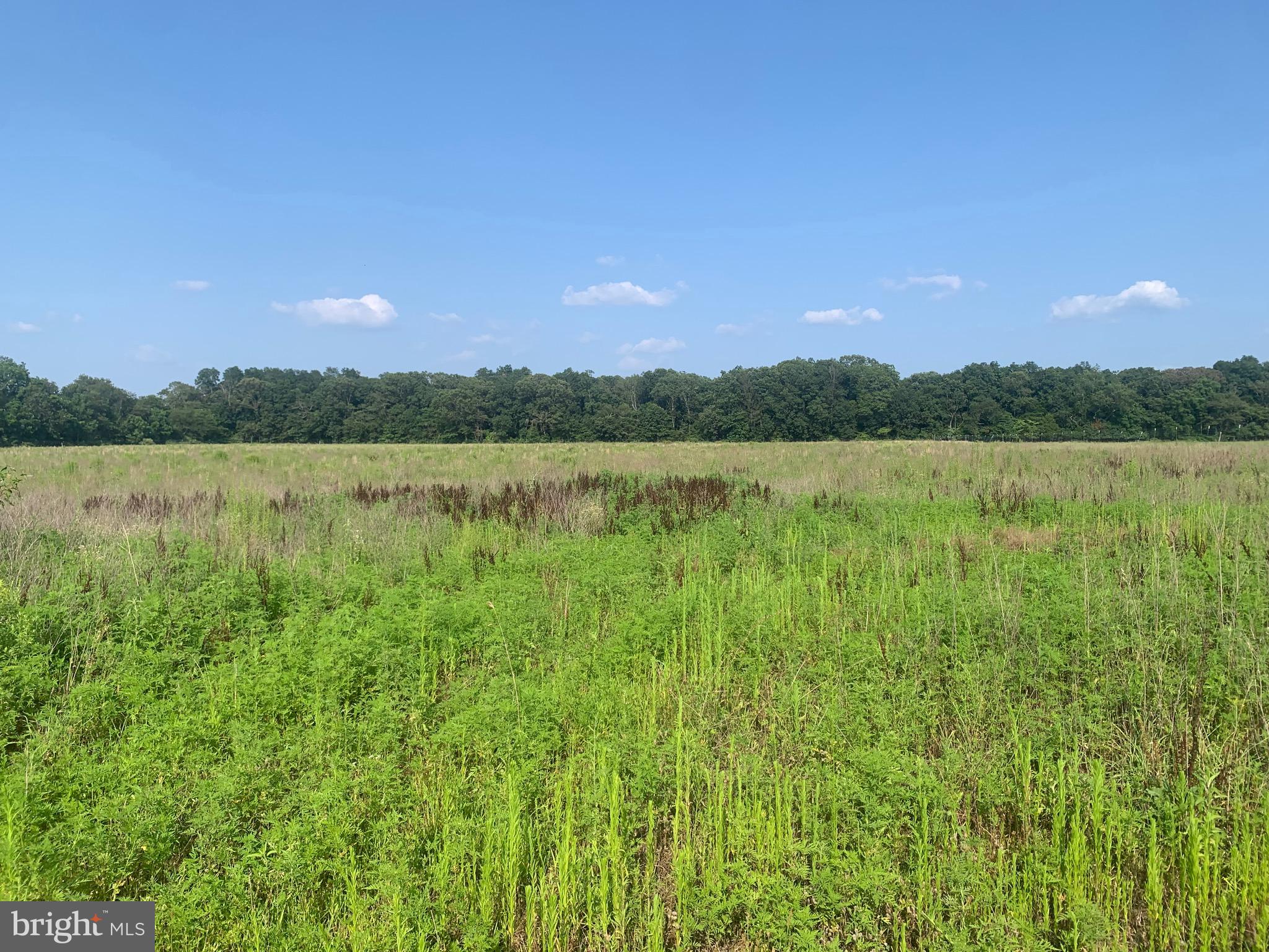 0 Gouldtown Woodruff Road Bridgeton, NJ 08302 - Photo 2 of 6 a view of lake and mountain view