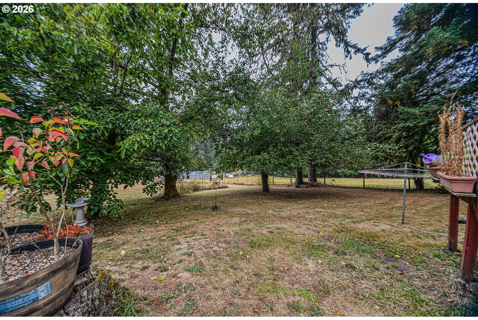 77339 Rutters Road Clatskanie, OR 97016 - Photo 22 of 24 Yard