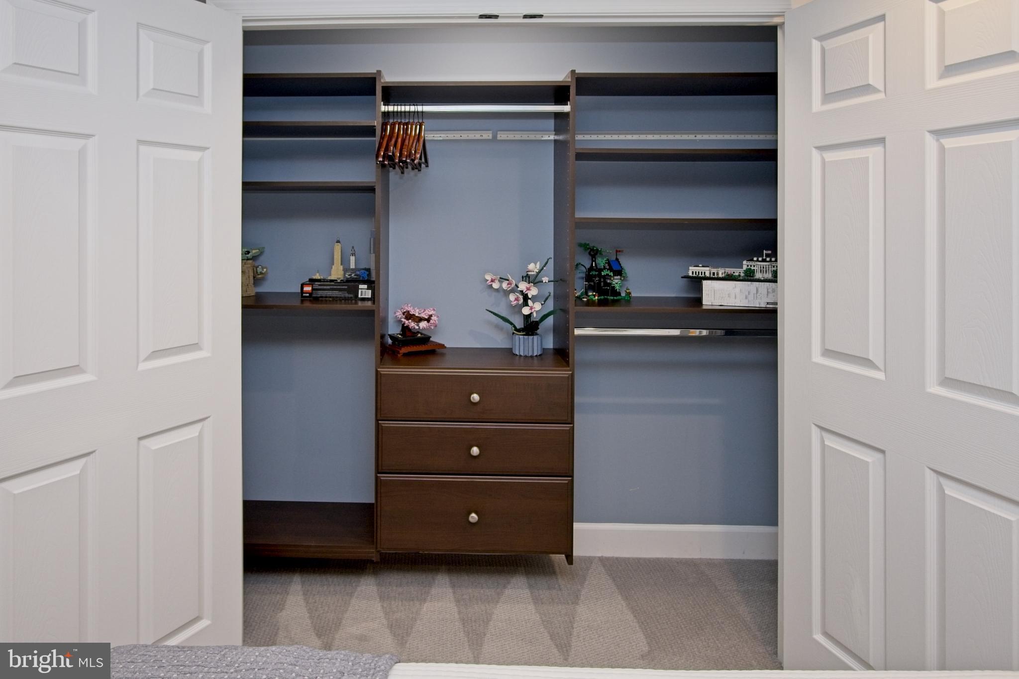 11423 Hollow Timber Way Reston, VA 20194 - Photo 41 of 68 Close-up view of closet