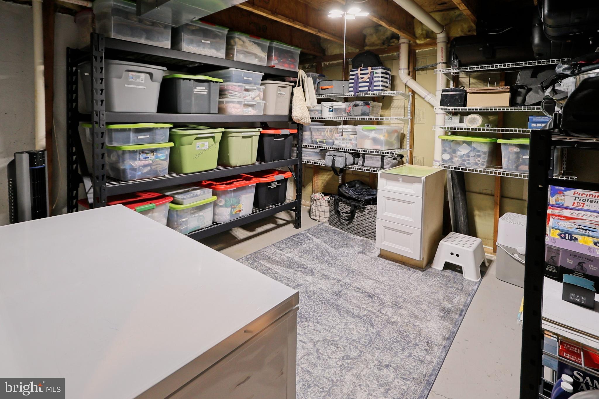 11423 Hollow Timber Way Reston, VA 20194 - Photo 45 of 68 Spacious storage area in lower level