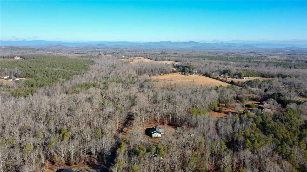 147 A T Mann Road Six Mile, SC 29682 - Photo 3 of 29
