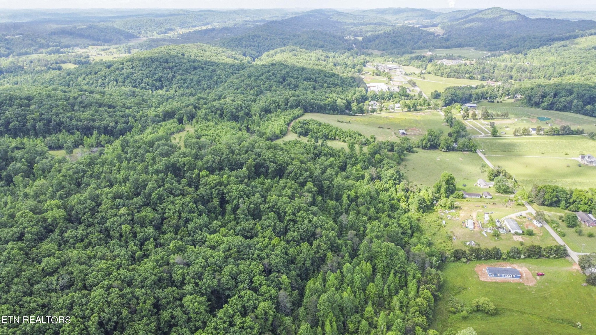 234 Laurel Bluff Road Kingston, TN 37763 - Photo 11 of 19 a view of a lush green field with lots of plants in it