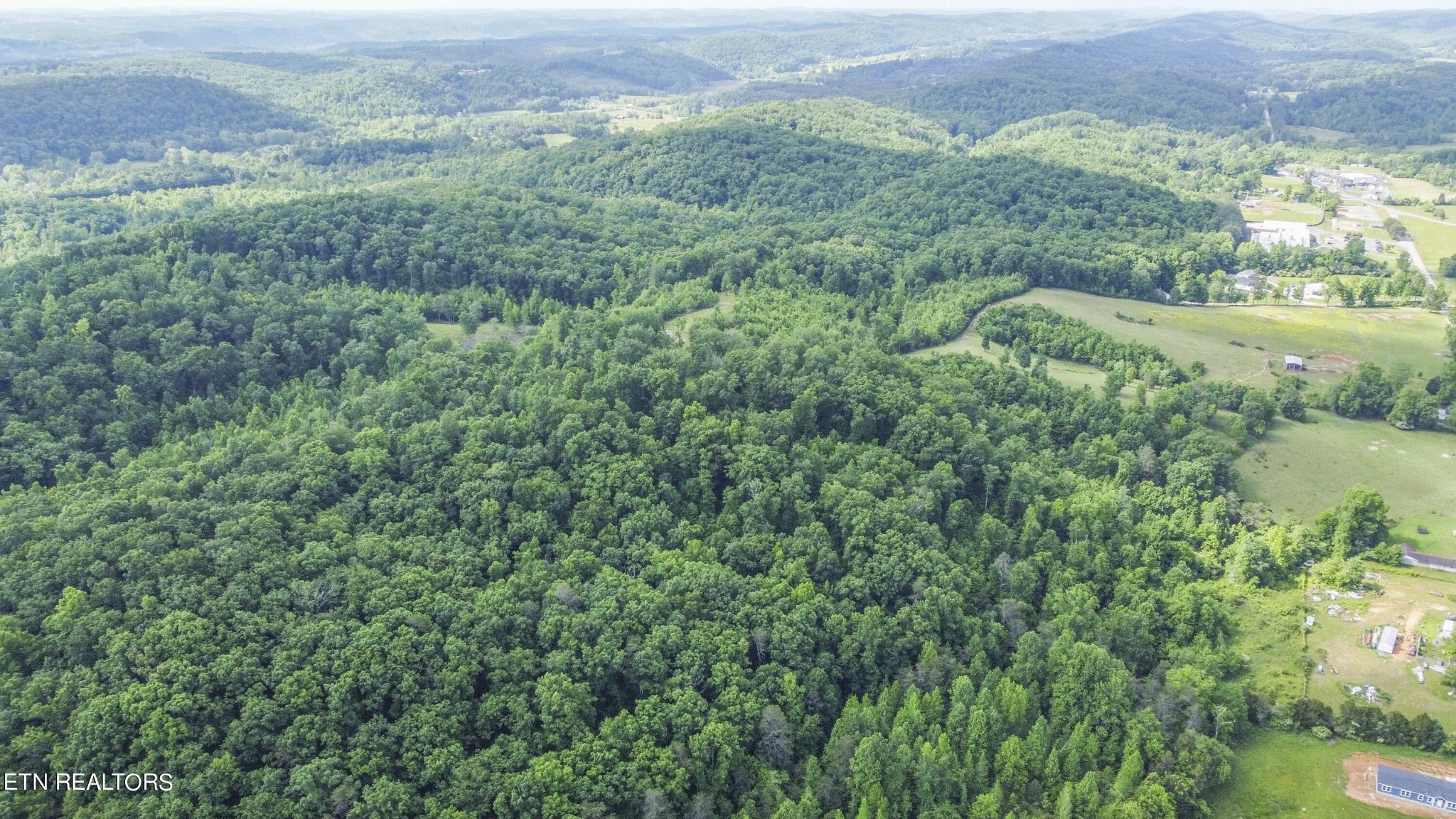 234 Laurel Bluff Road Kingston, TN 37763 - Photo 12 of 19 a view of a lush green field with lots of bushes