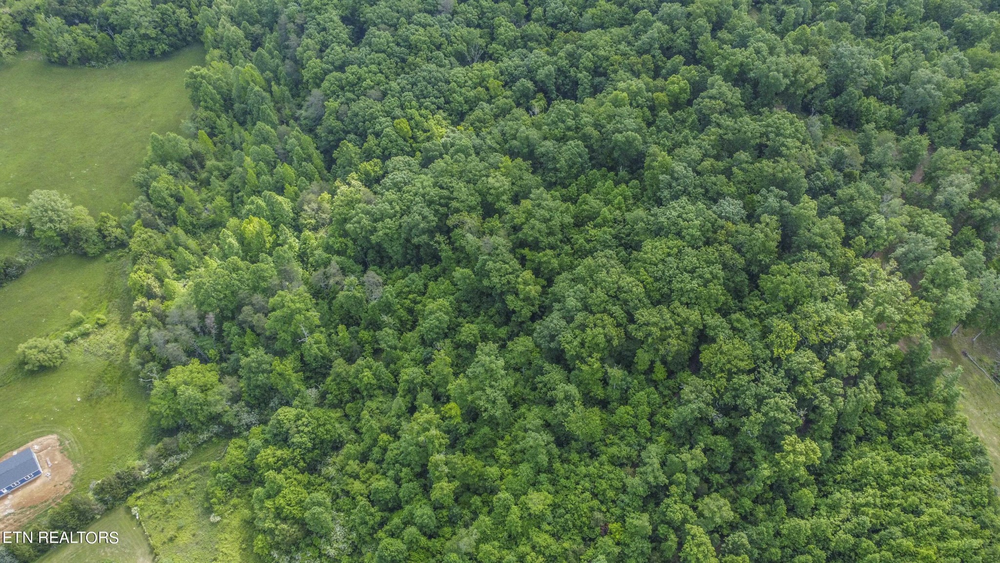 234 Laurel Bluff Road Kingston, TN 37763 - Photo 14 of 19 a view of a lake with a lush green forest