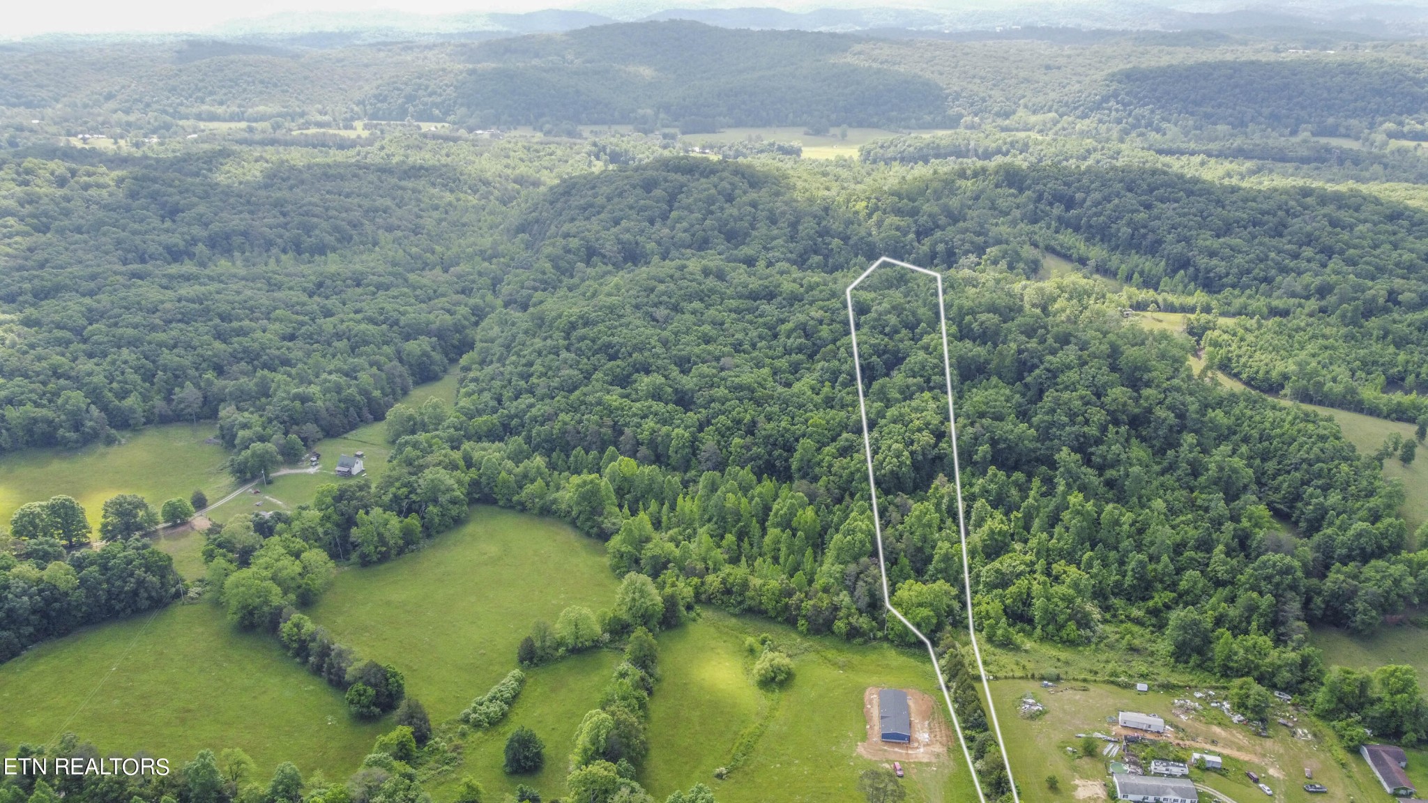234 Laurel Bluff Road Kingston, TN 37763 - Photo 16 of 19 a view of a forest from a yard