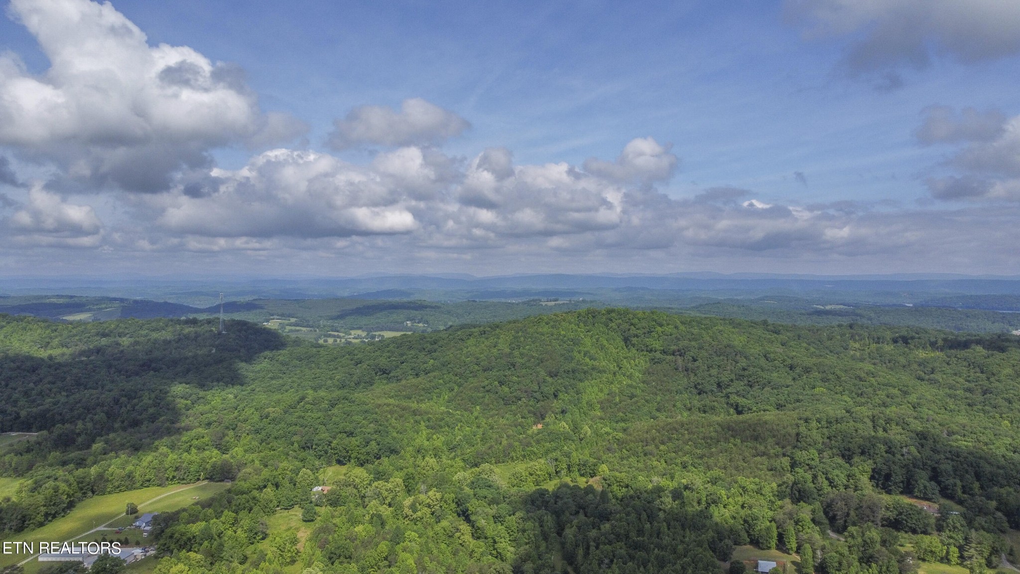 234 Laurel Bluff Road Kingston, TN 37763 - Photo 18 of 19 a view of a big yard of grass and an empty tree