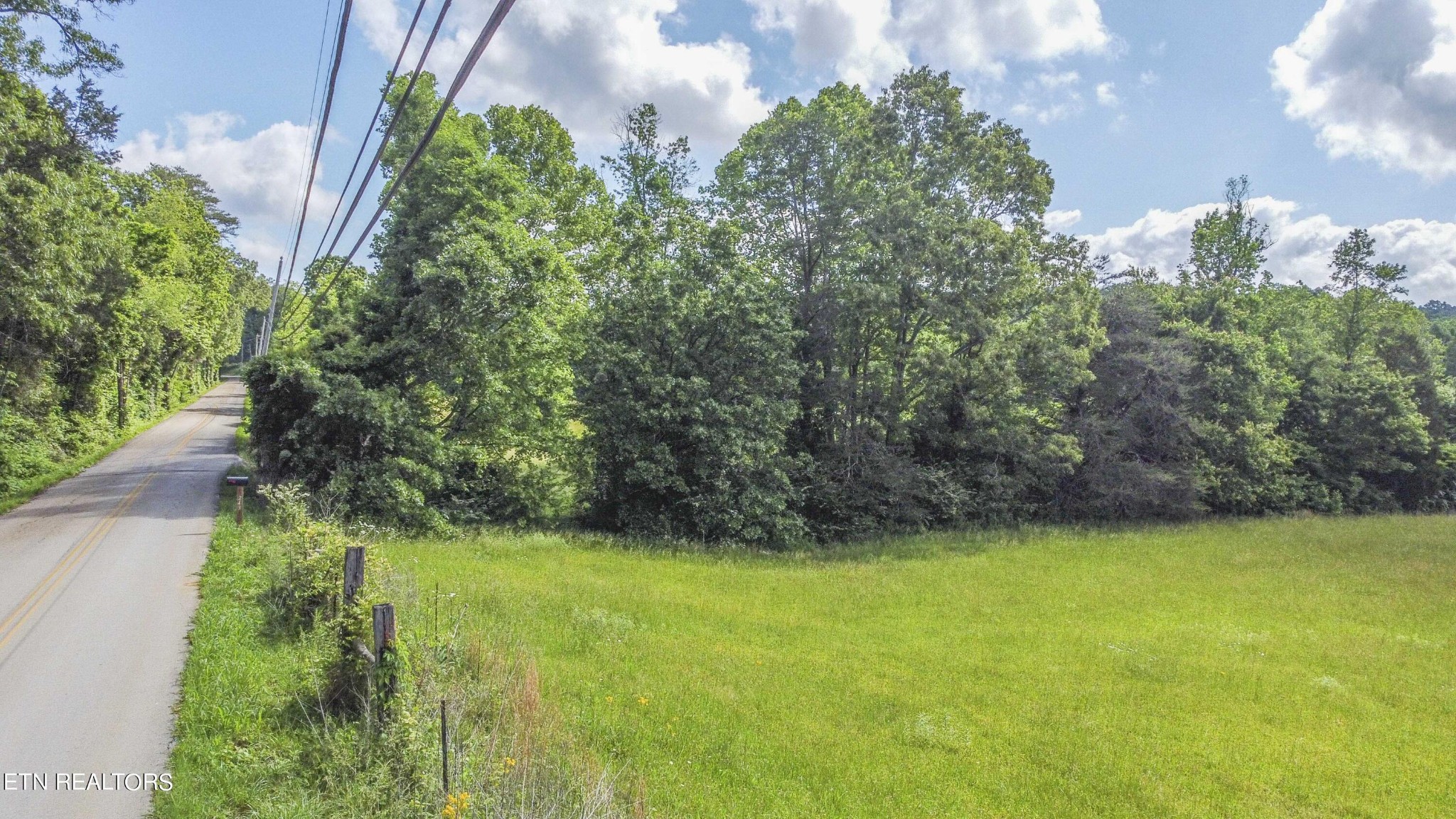 234 Laurel Bluff Road Kingston, TN 37763 - Photo 19 of 19 a view of yard with green space