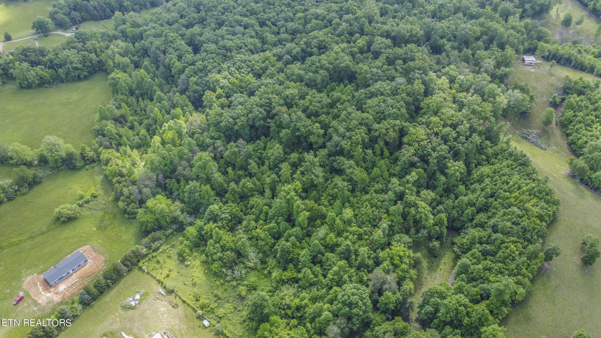 234 Laurel Bluff Road Kingston, TN 37763 - Photo 6 of 19 a view of a lake with a yard