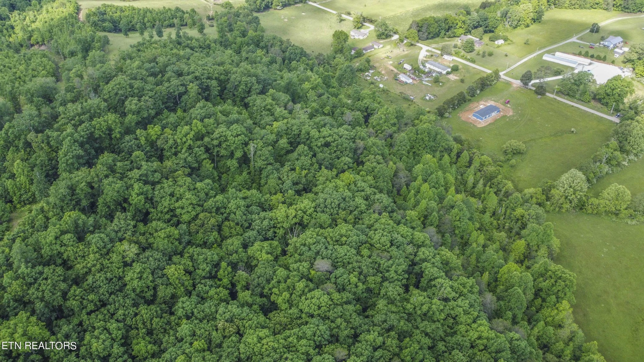 234 Laurel Bluff Road Kingston, TN 37763 - Photo 10 of 19 a view of a tree in a yard