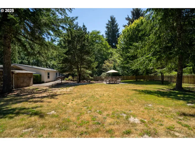 a view of a backyard with plants and a large tree