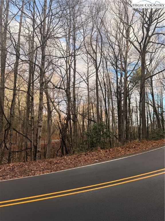 Buckeye Creek Road Elk Park, NC 28622 - Photo 2 of 3 a view of a yard with large trees