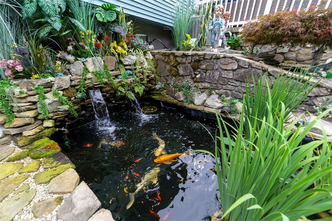 57 Shenandoah Road Warwick, RI 02886 - Photo 6 of 39 Koi Pond