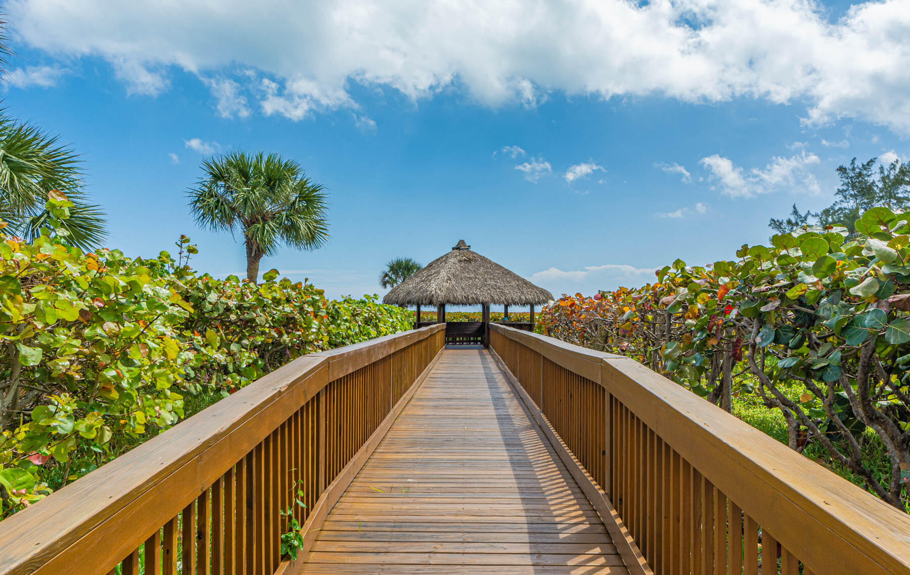 2700 North Hwy A1A, Unit 307 Hutchinson Island, FL 34949 - Photo 16 of 51 a view of balcony and yard
