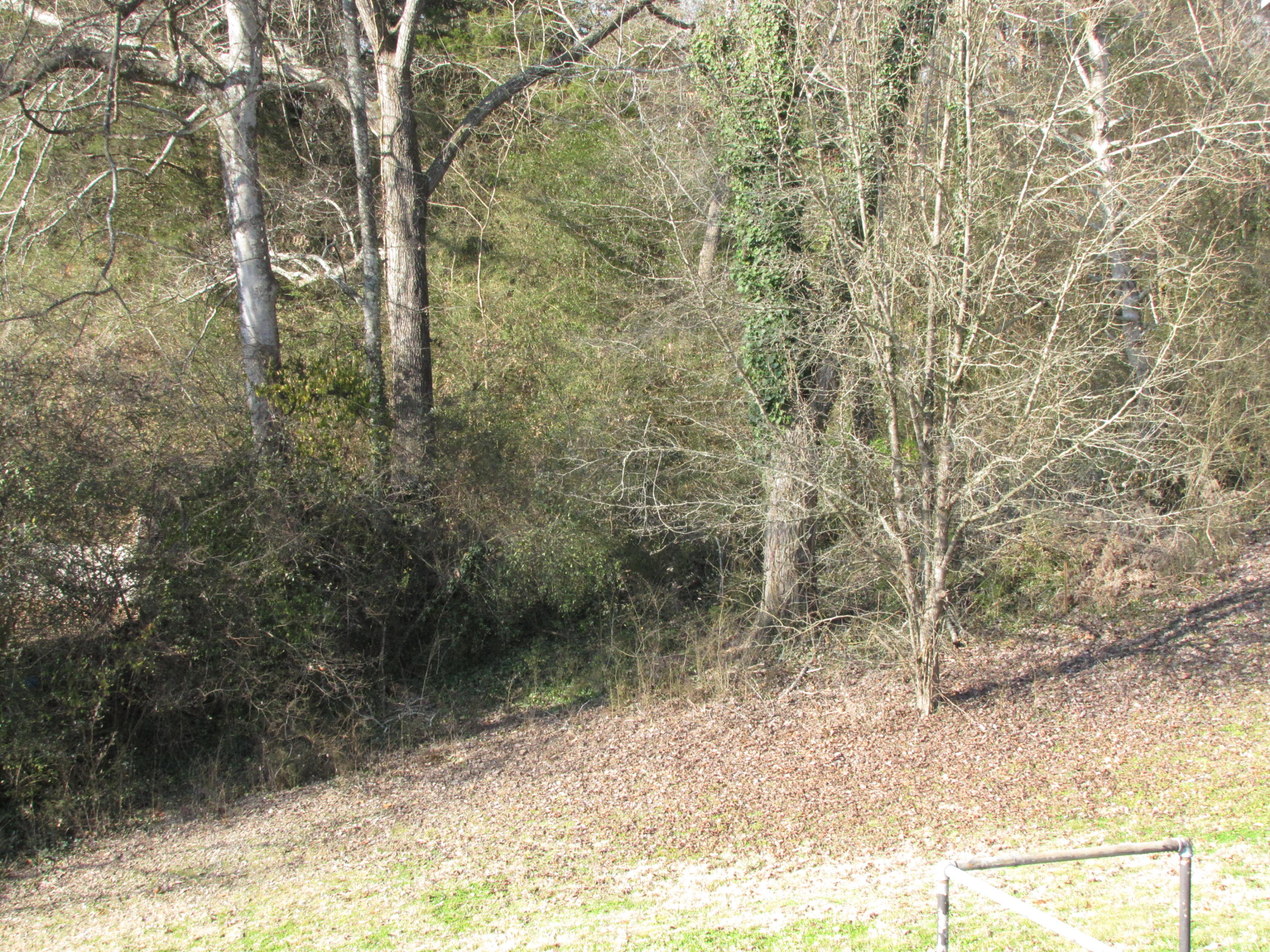 501 Patton Ferry Road Kingston, TN 37763 - Photo 29 of 34 IMG_8404
