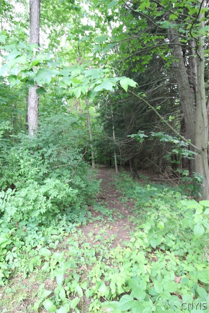 1339 County Rte 57 Volney, NY 13069 - Photo 46 of 50