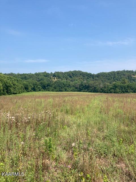 540 Henderson Road, Unit 14 Pigeon Forge, TN 37862 - Photo 3 of 40 Waterside Summer View