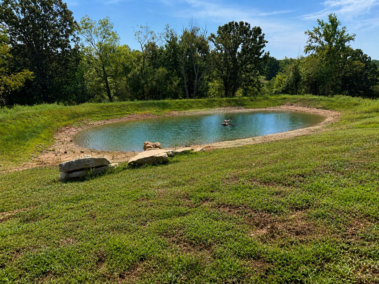 3494 Spence School Road Mansfield, MO 65704 - Photo 5 of 31 Pond in front of home