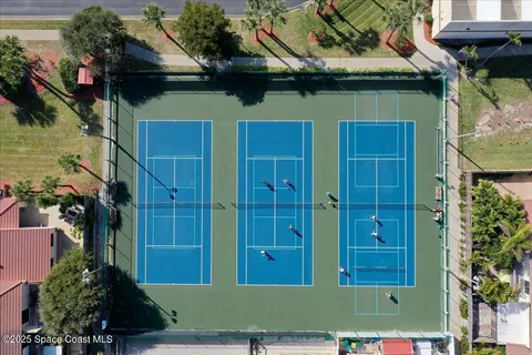 a view of a swimming pool with a lawn chairs under palm trees