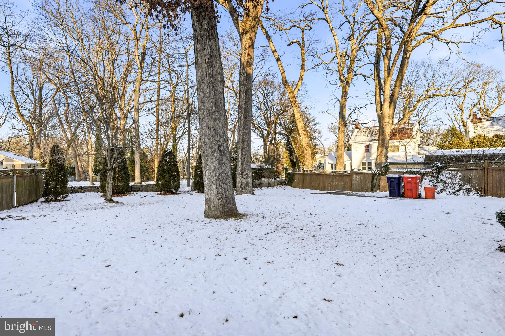23 Lake Street Bridgeton, NJ 08302 - Photo 49 of 58 a view of road with trees